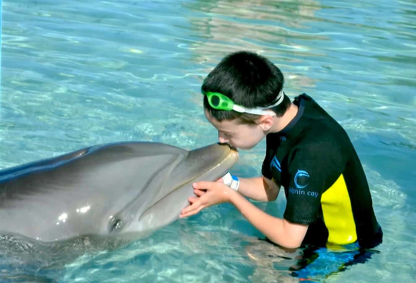 Wordless Wednesday: Swimming with Dolphins at Atlantis Resort on ...