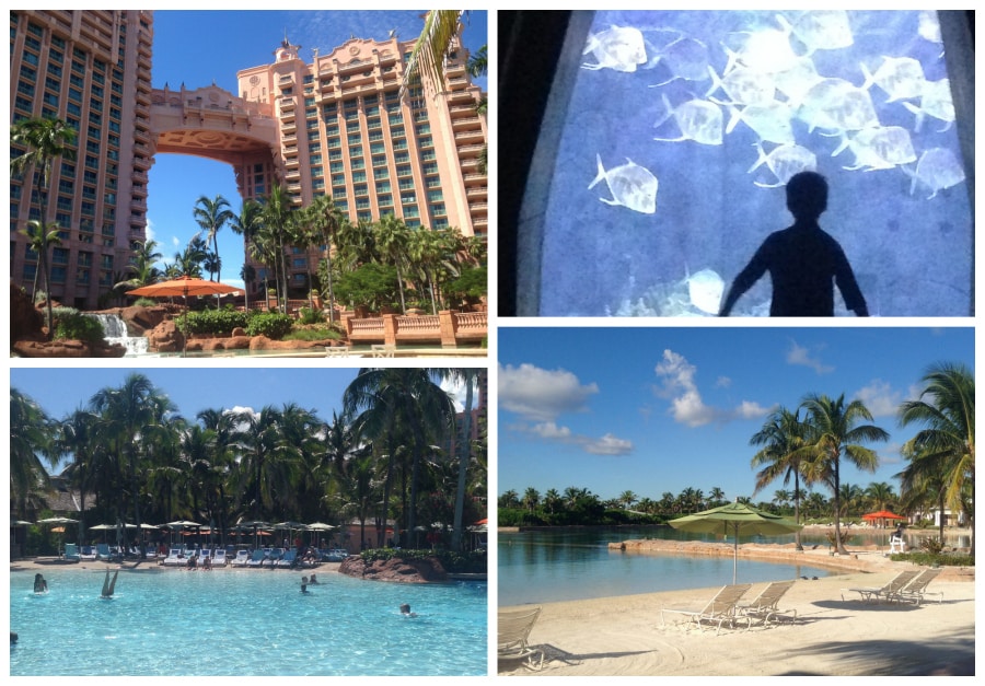 Atlantis Resort on Paradise Island, Bahamas on a Budget? It’s Possible with Comfort Suites | The Mama Maven Blog | #familytravel #AtlantisResorts