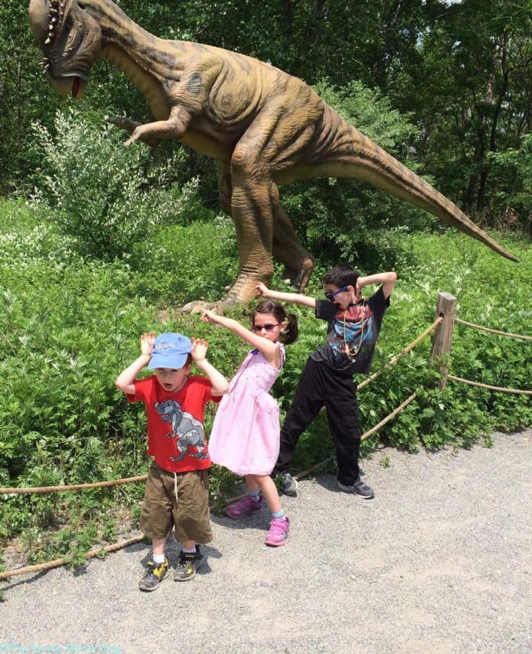 field station dinosaur park