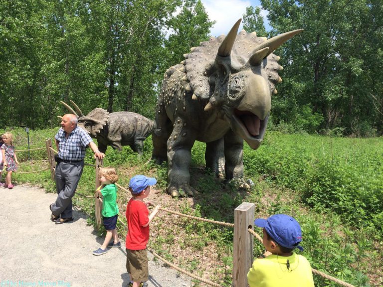 field station dinosaur park