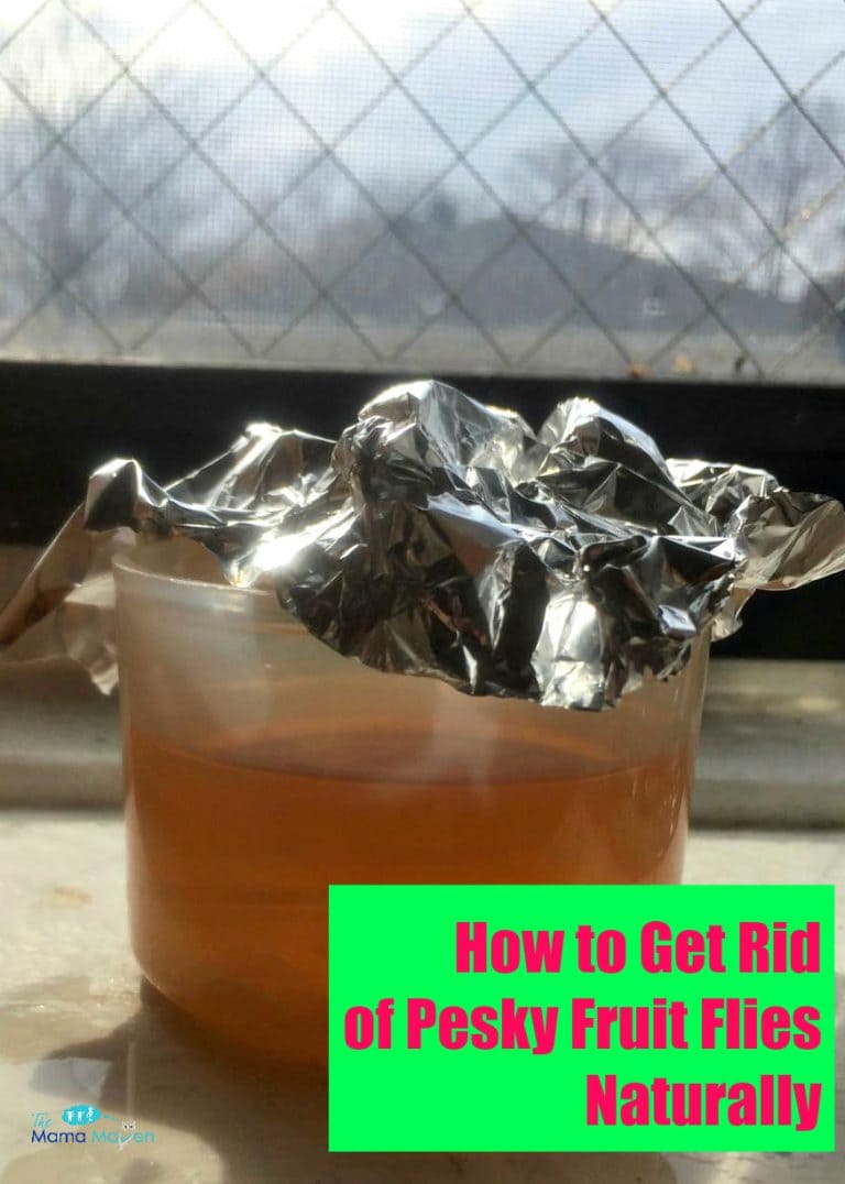 how-to-get-rid-of-pesky-fruit-flies-naturally