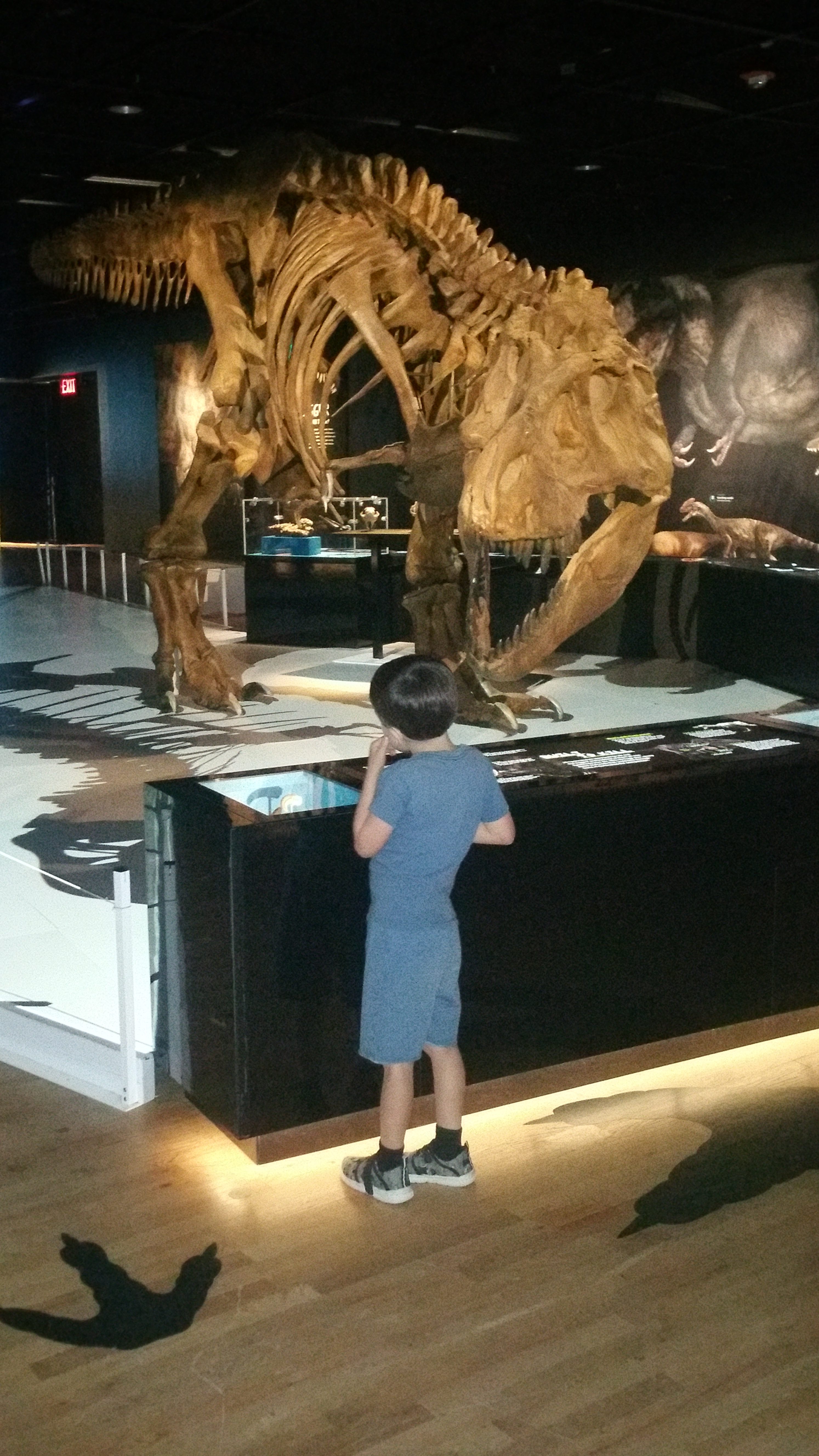 Special Exhibit: T-Rex: The Ultimate Predator at American Museum of ...