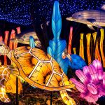 Bronx Zoo Holiday Lights