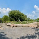 Gaia the Turtle - Ithaca Children's Garden