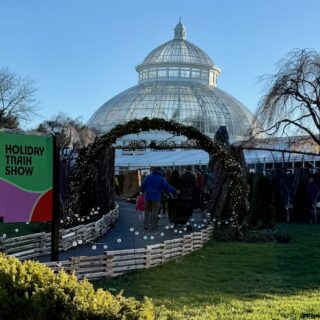 This is the Holiday Train Show at the Haupt Conservatory at the NY Botanical Gardens